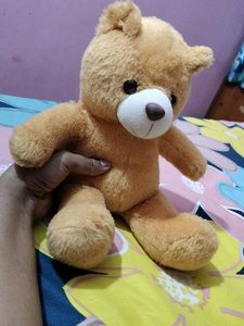 Toy