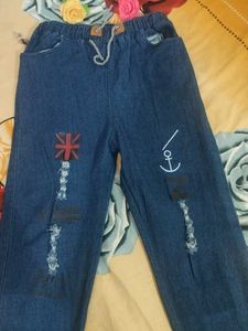 Trendy Embroidered Jeans