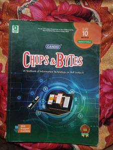 CLASS 10TH IT BOOK CHIPS AND BYTES