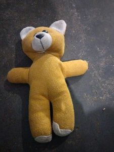 Chhota Teddy Bear
