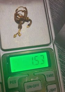 Gold Long Earrings