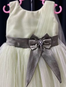 Elegant Tulle Dress