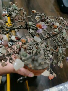 Fengshui Tree
