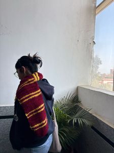 Hogwarts inspired Muffler