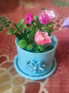 Crafty Pot