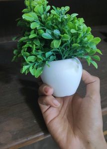 Artifical Grass Pot