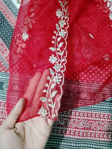 Elegant Red Ethnic Gown