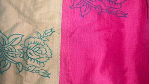 Vintage Saree🥻
