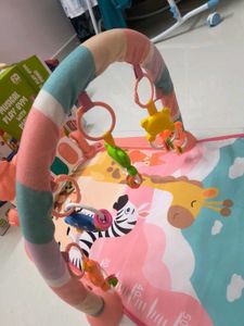 Baby Play Gym