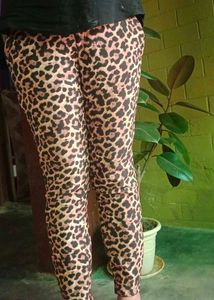 Zara Leopard Print  Pants