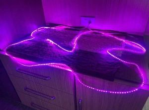 2 Led Light