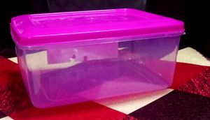 New Empty Container Box