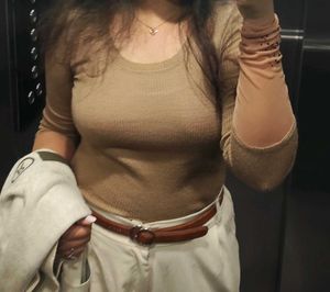 A Brown Body Fit Top