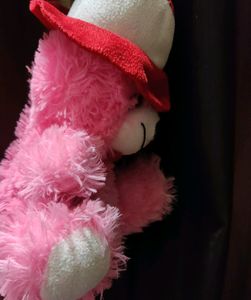 Pink Teddy Bear