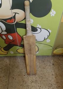 hi I want to sell this cricket bat
