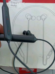 One Plus Z Bass (B1)