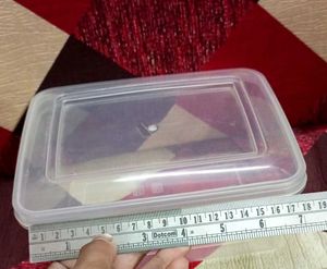 Combo Offer( Pack Of 4 Container Box)