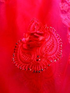 Soft Net Saree with blouse