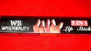 WB 5 In 1 Nude Lipstick Stick 💄