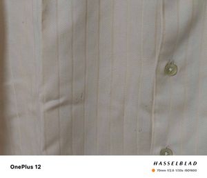 FINE Cotton Excalibur Striped Shirt XL 42