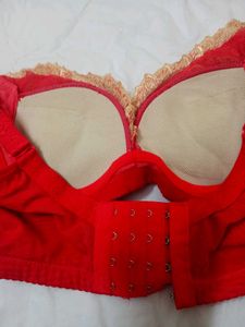 Red Embroidered Bra