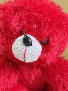 Red Teddy Bear