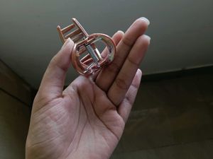 Hair Clip Claw