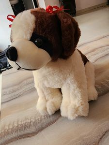 Dogi