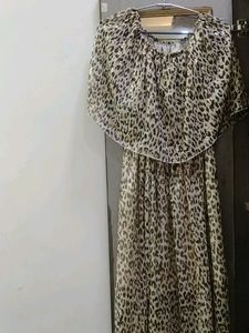 Beautiful Tiger Print Dress