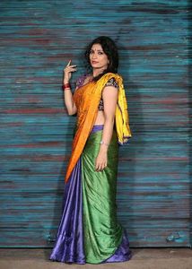crape sareeMulticolor Saree