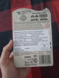 Hotwheels (Muscle And Blown)