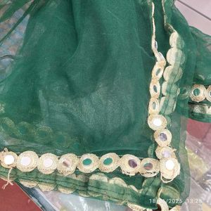 Green Net Dupatta L.