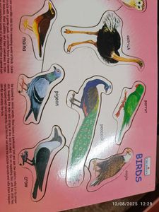 New Wooden  Birds Puzzle