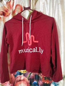 Musical.ly Hoodie