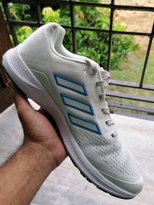 Mens Shoe Lite