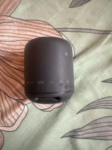 Sony Portable Speaker