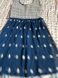 Blue Chikankari Plazoo Set