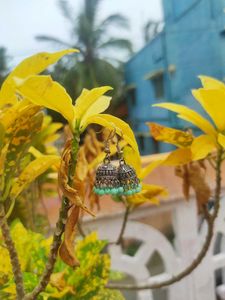 Combo Of 4 Jhumkas
