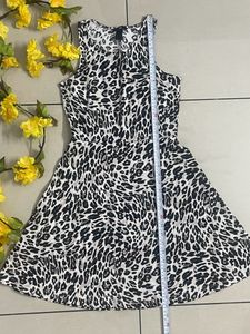 Animal Printed H&amp;M Dress