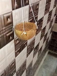 Bird nest selling grab items