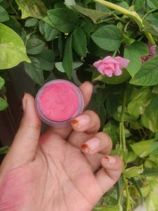 Blush &amp; Highlighter
