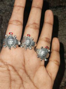 Turtle Rings (Set of 3)