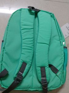 Frozen Backpack