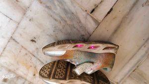 Light Shoes