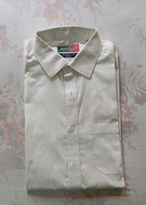 Peter England Formal Shirt