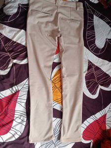 Beige Casual Pants