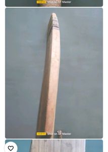 Willow Cricket Bat