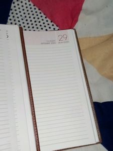 Set Of Two Excellent New Diaries...