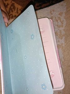 Frozen Fever Diary