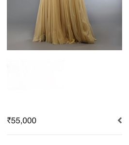Elegant Gold Embroidered Net Evening Gown